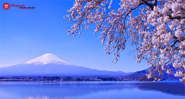 Tour Nhật Bản Khám Phá Shinhotaka Ropeway Mùa Hoa Anh Đào